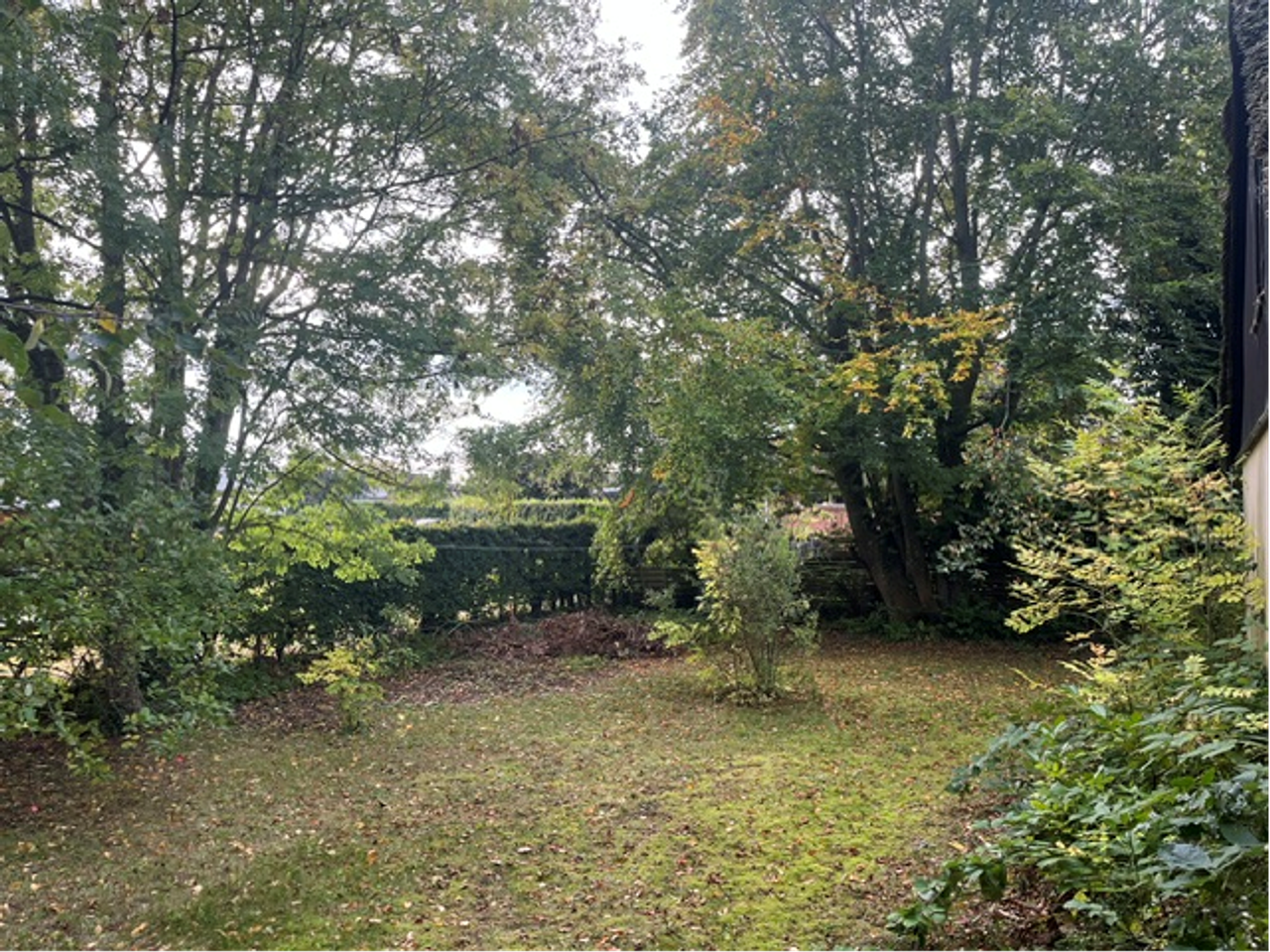 image 04