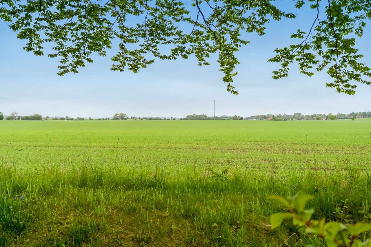 image 04