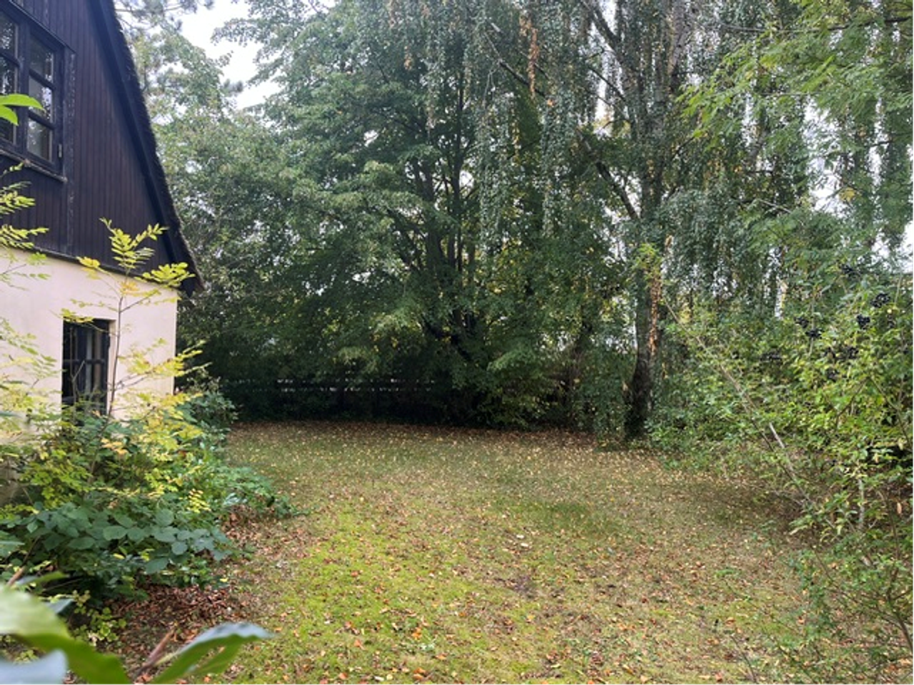 image 03