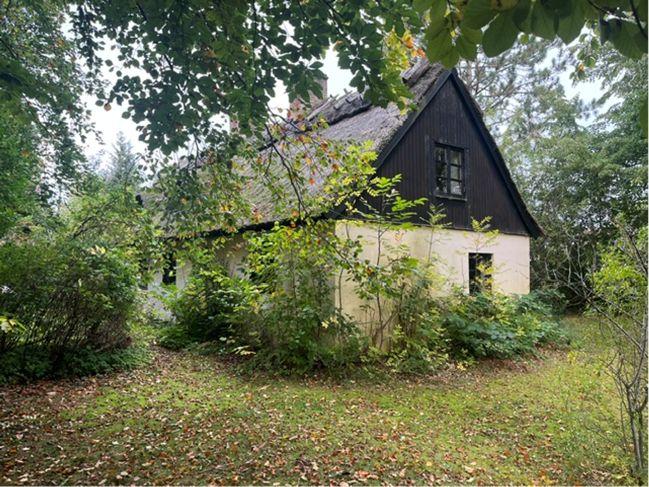 image 02